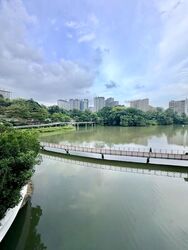 Blk 542 Panshan Grove (Bukit Panjang), HDB Executive #627491131